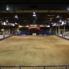 View from the back of the arena