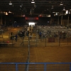 Livestock Sale- 60 pens, 40 tie-stalls, 2 judging areas, 1 photo area