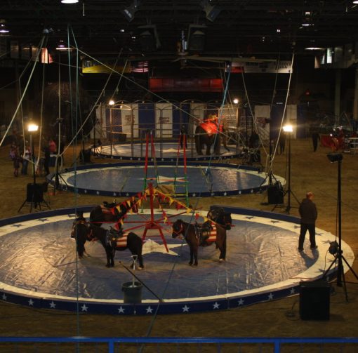 arena 1 -circus set up