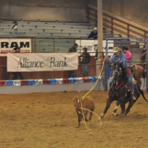hopkins civic center rodeo calf roping